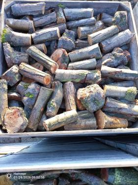 Openhaardhout appel, pas gerooid