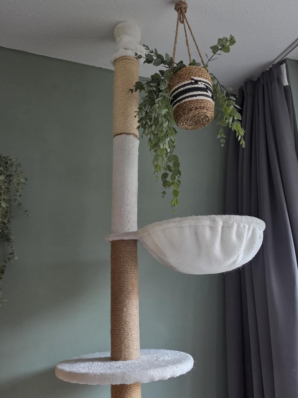 Mooie grote witte krabpaal