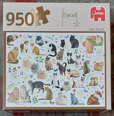Cats Poster  950 stuks