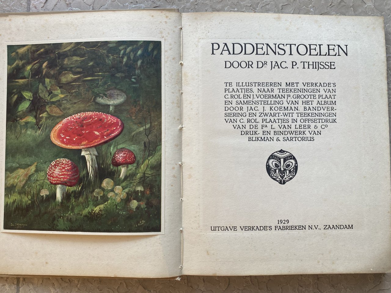 Paddenstoelen