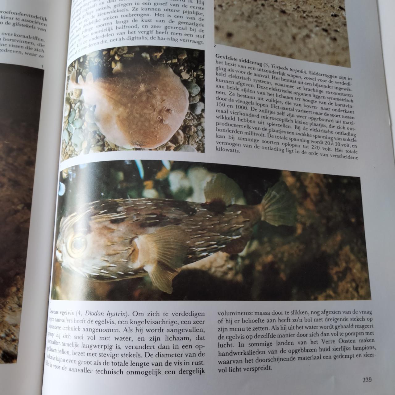 2 PRACHTIGE BOEKEN OVER NATUUR