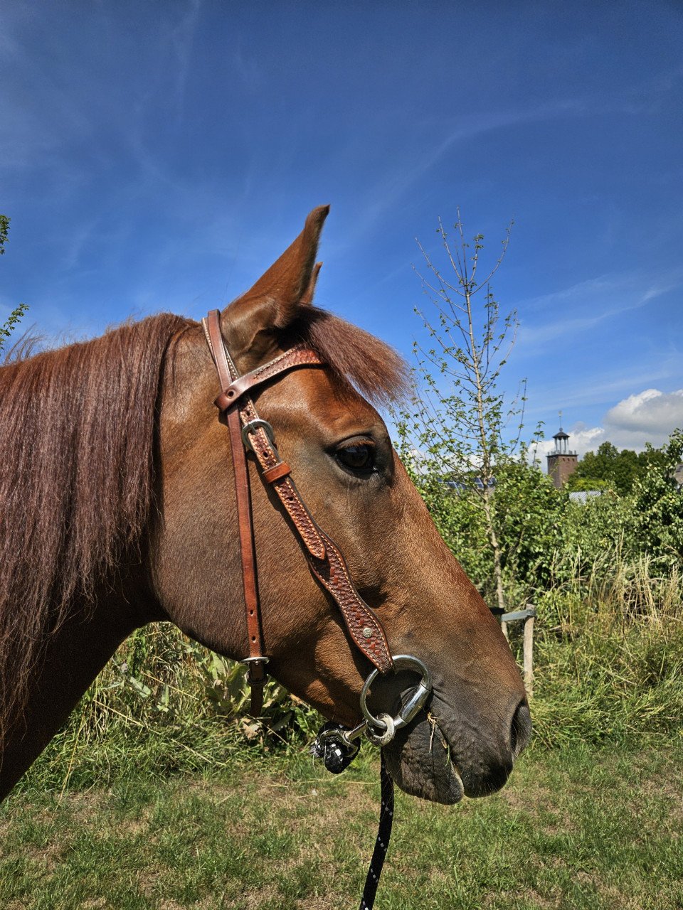 Westernzadel Western Imports