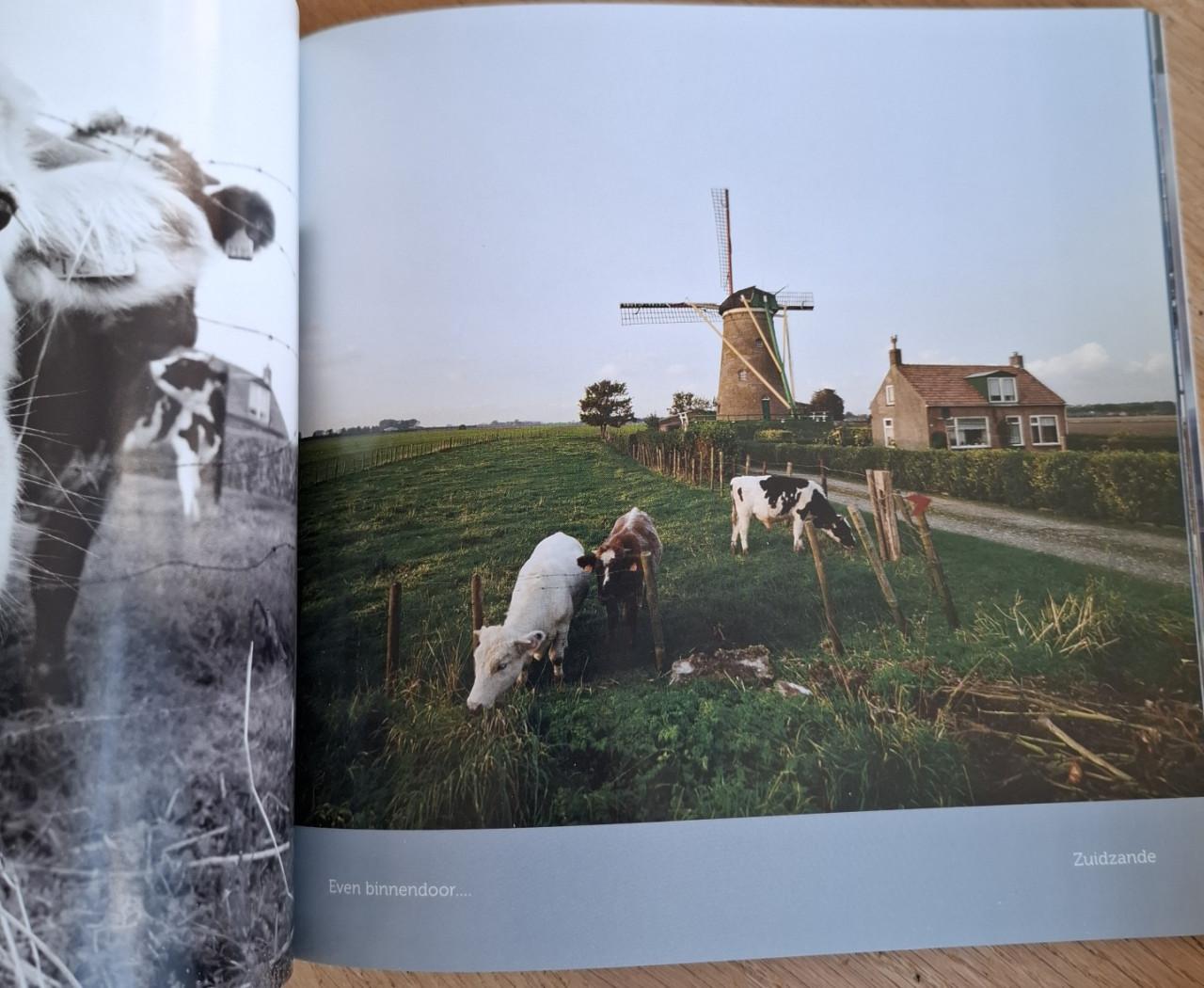Zeeuws venster - Een mooie herinnering, door Chris Platteeuw.