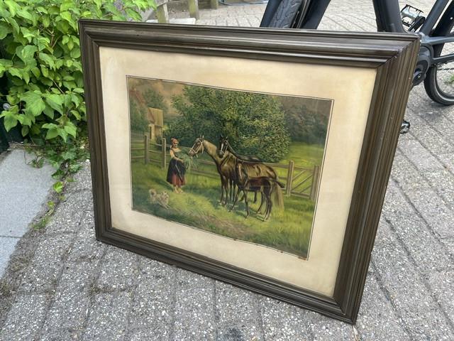 Lijst afbeelden met paarden