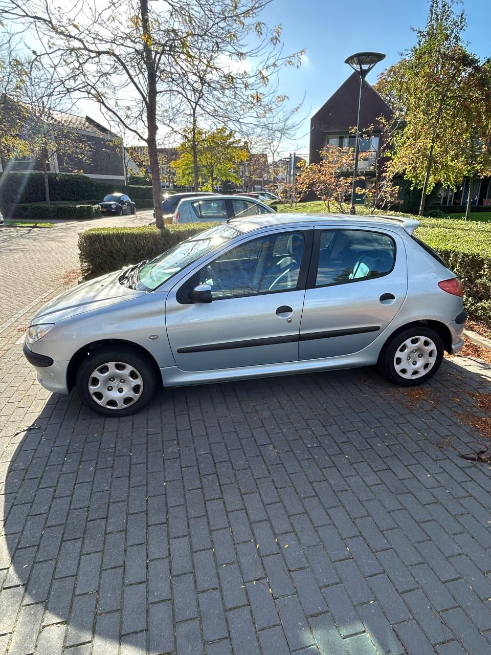 Peugeot 206 1.4i 5-Deurs licht blauw/grijs