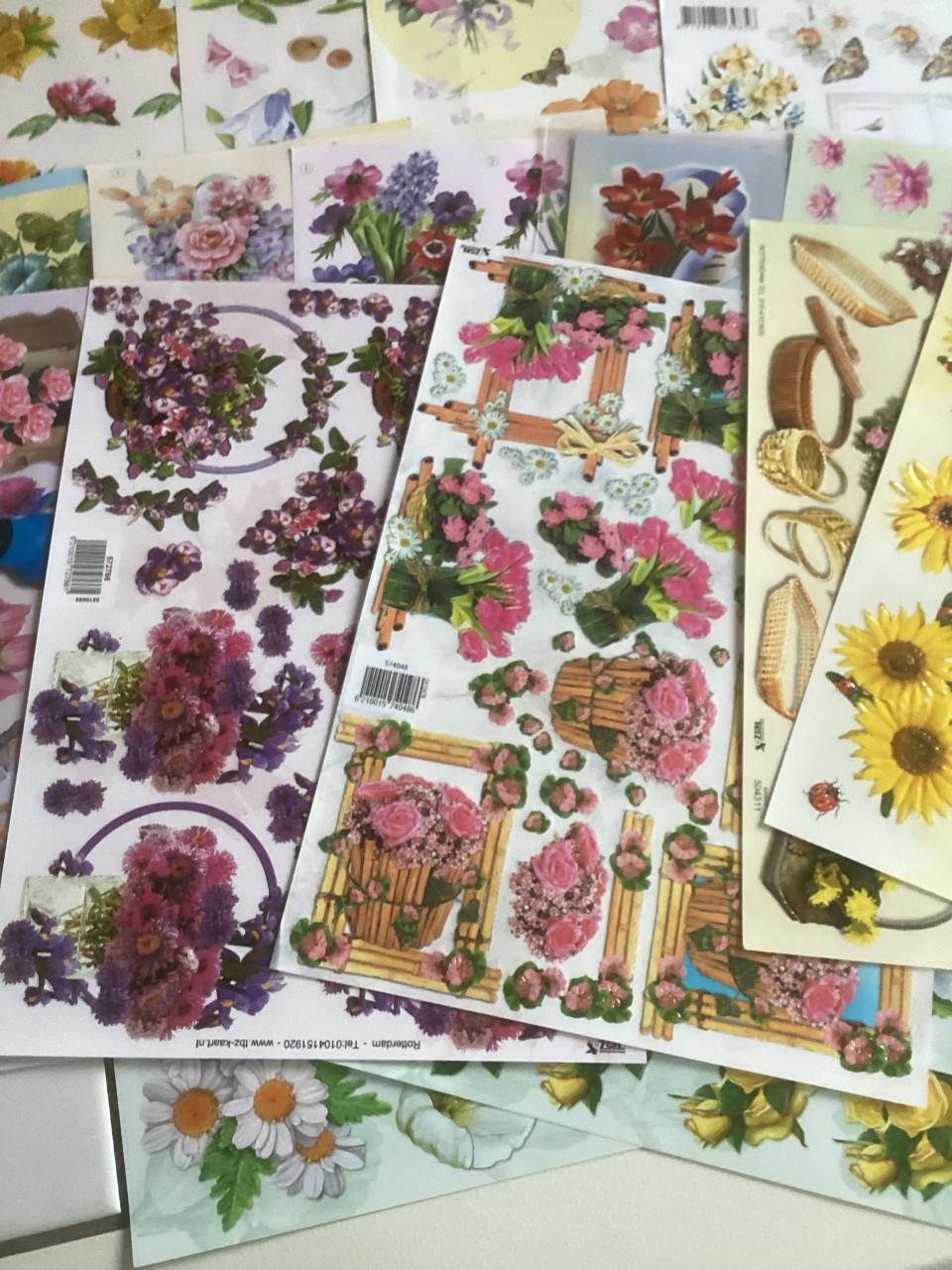 33 knipvellen bloemen