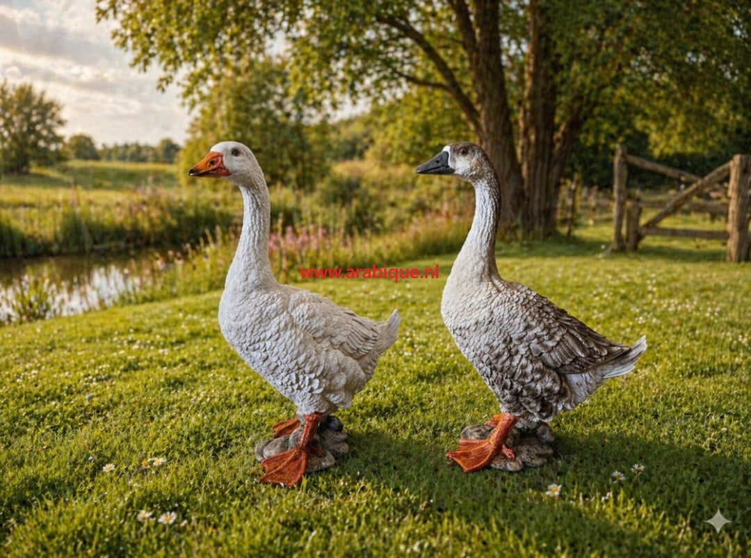 Baby bokjes big geit lammetje enz