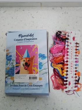 Compleet borduurpakket