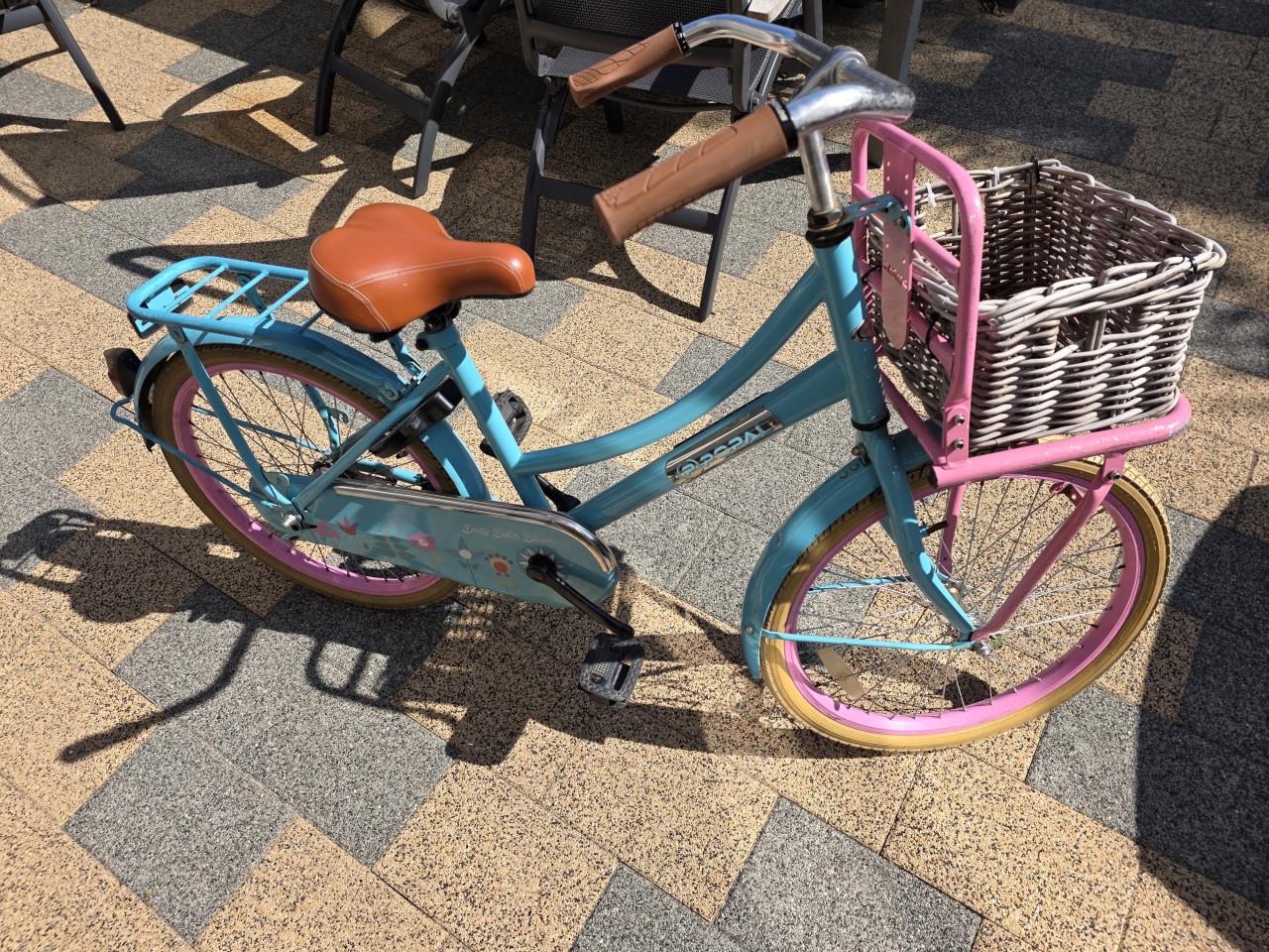 Propal fiets 22 inch