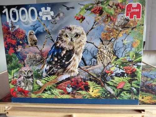Puzzel met uil