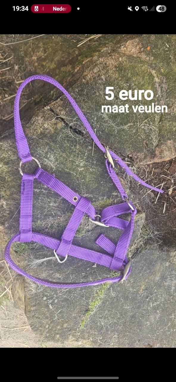 Diverse paarden spullen