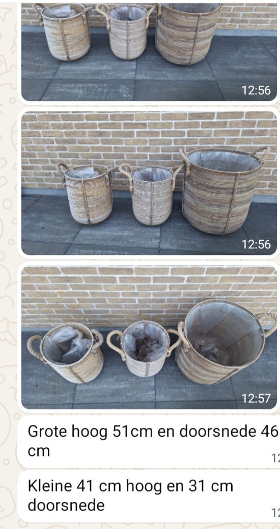 Bloempotte/manden
