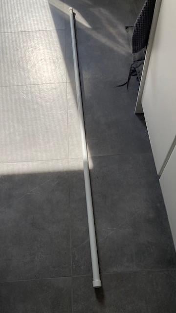 Gordijnroe wit