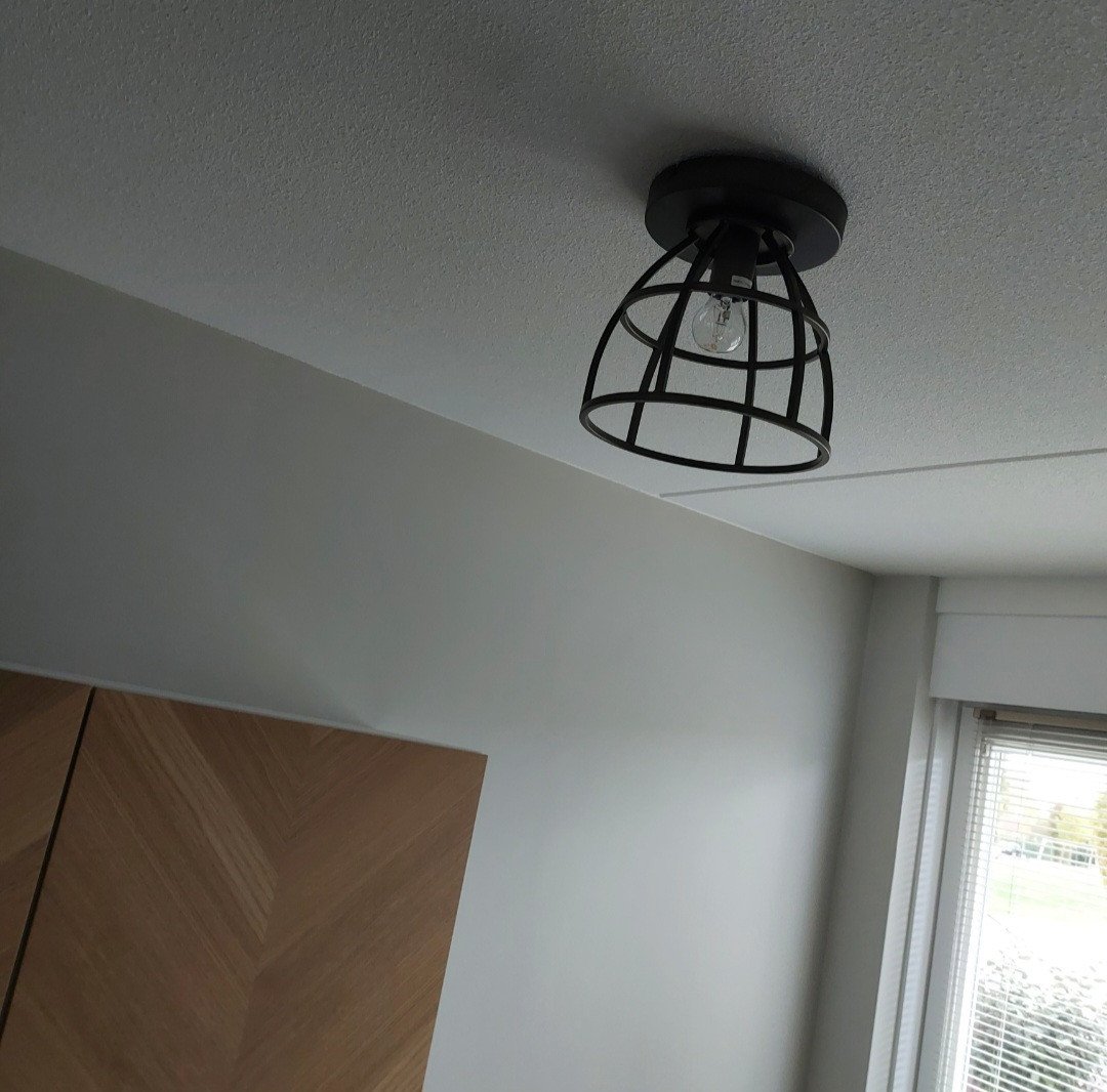 Stoere industriële plafondlamp 2x