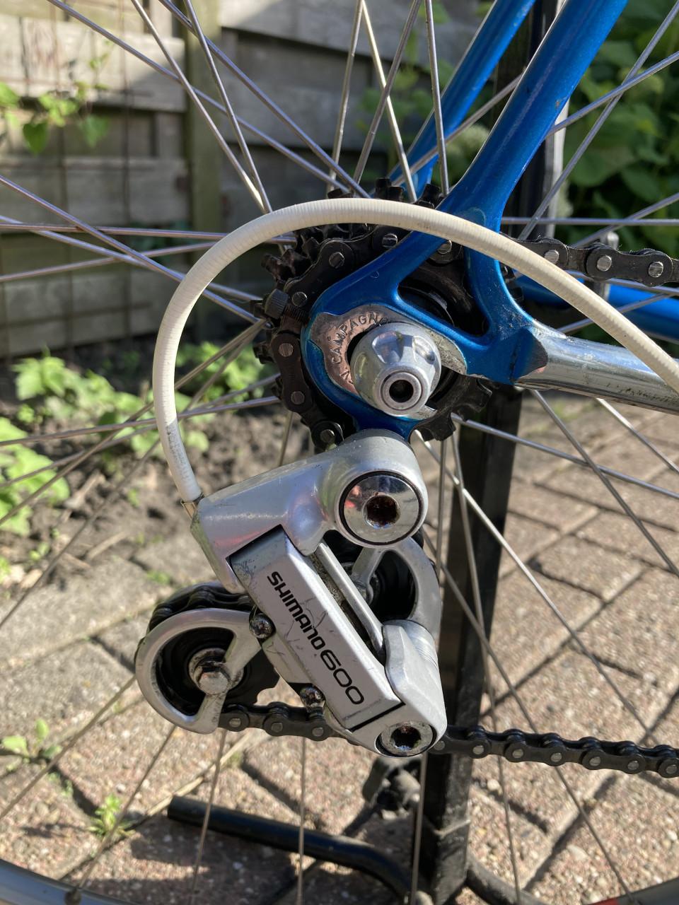 Batavus Professional