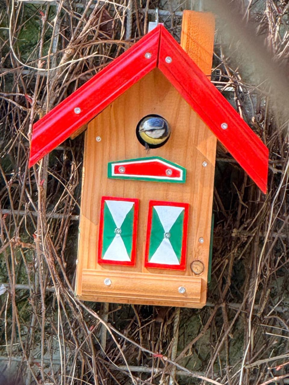 Div. Vogelhuisjes  &  Egelhuisjes te Koop  [ zie foto's  ]