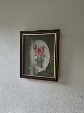 3D lijstje met klaproos
