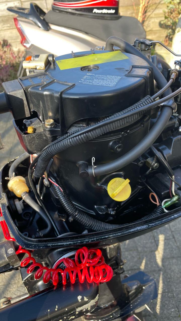 Mercury 5 pk  kortstaart