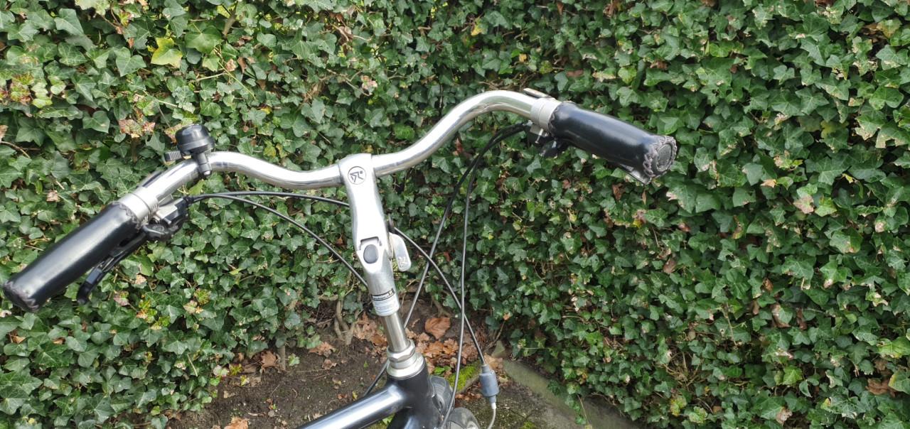 Koga Miyata Prominence