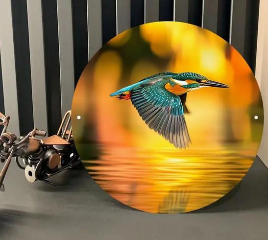 Ijsvogel ( op metaal )