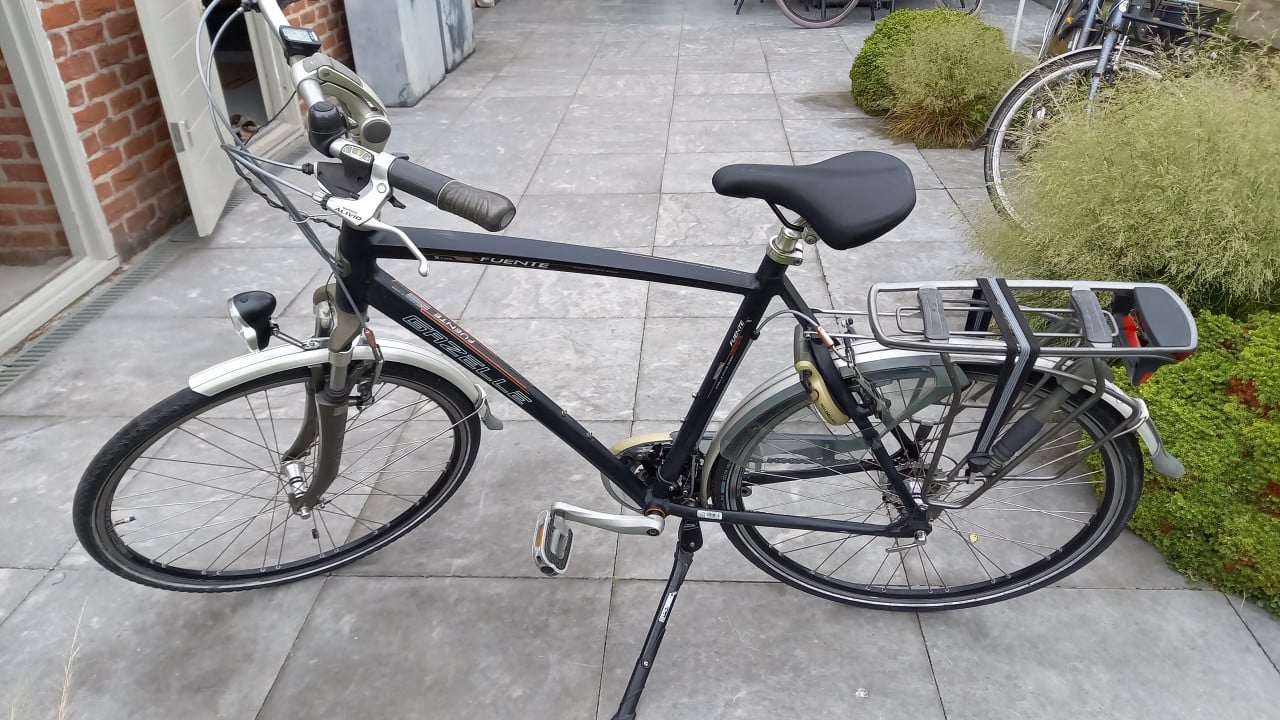 Gazelle fuente xtra