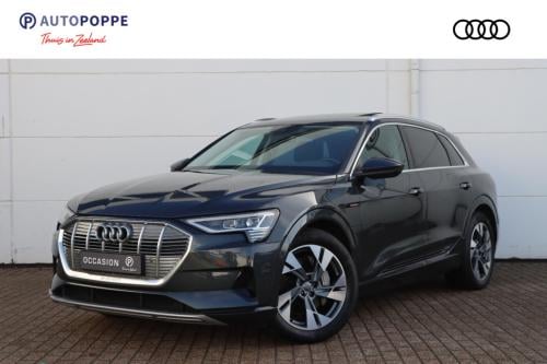 Audi E-tron e-tron 50 quattro launch edition plus 71 kwh 313pk pro line