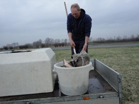 Koop een visvergunning voor een kerst en nieuwjaar cadeau € 17,50 KOOPJE