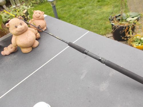 PILKMASTER , lengte 120 cm , werpgewicht 80-300 gram