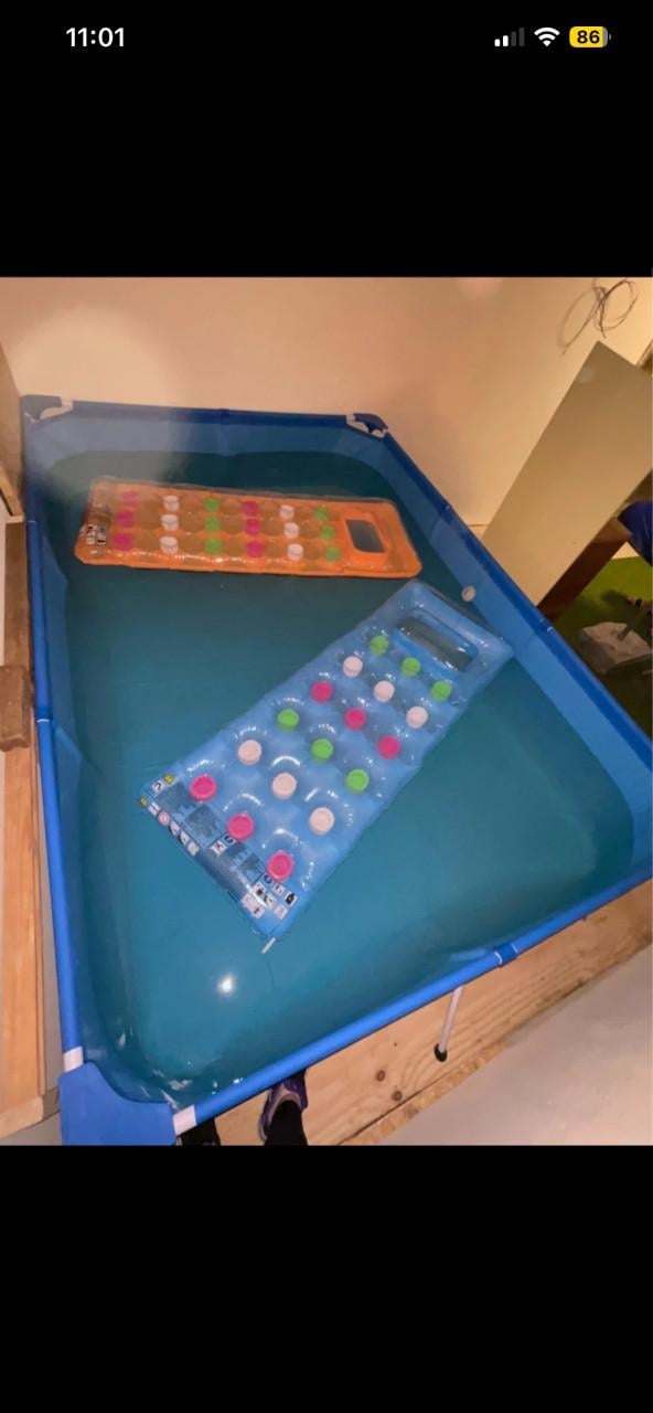 Grote familie zwembad