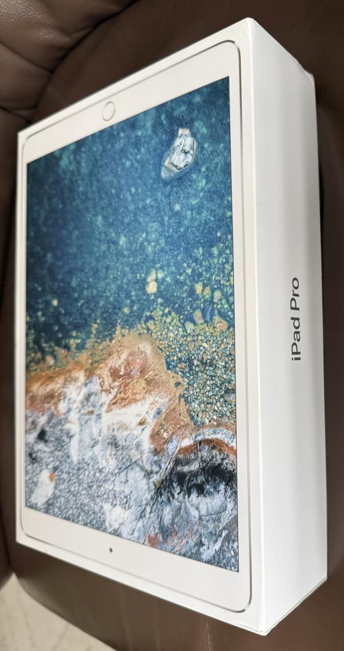 IPad Pro, 256Gb, Wifi