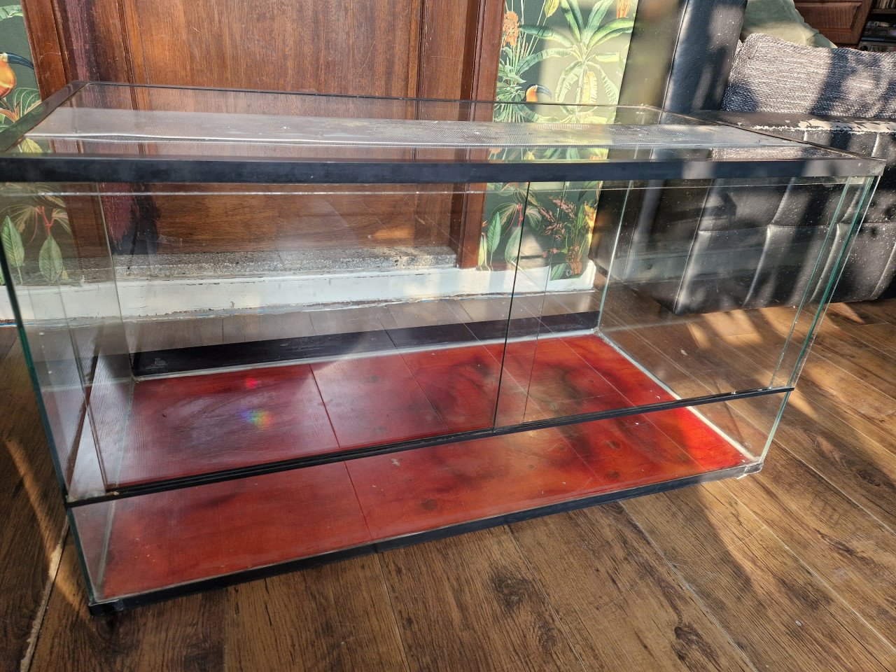 Te koop: Terrarium 1.0 x 0.5 x 0.5 m