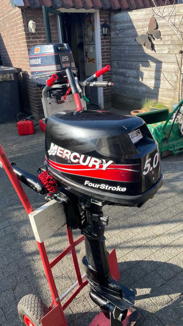 Mercury 5 pk  kortstaart