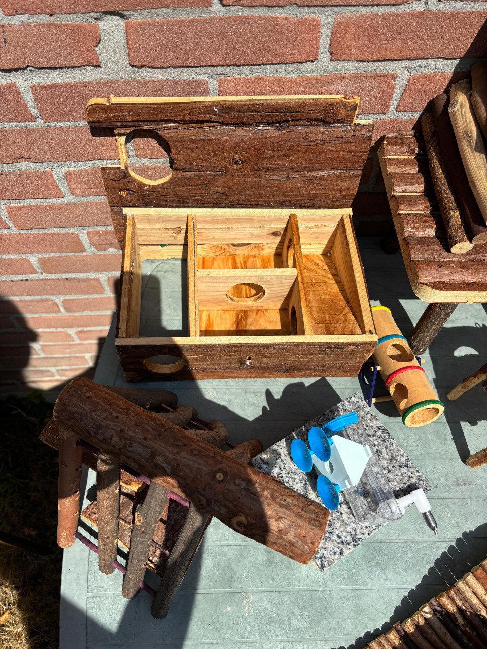 Knaagdieren