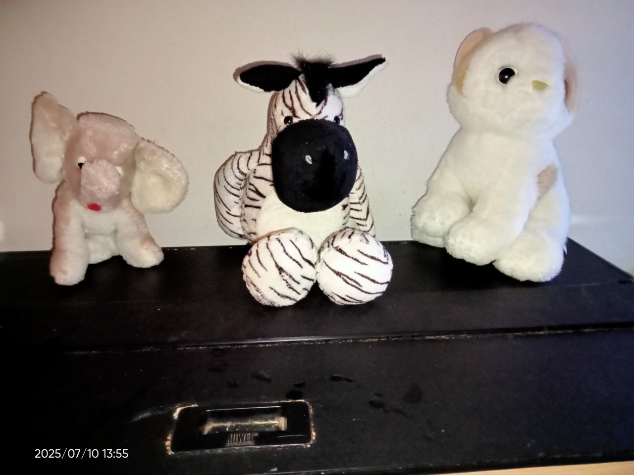 Knuffel beren en beesten