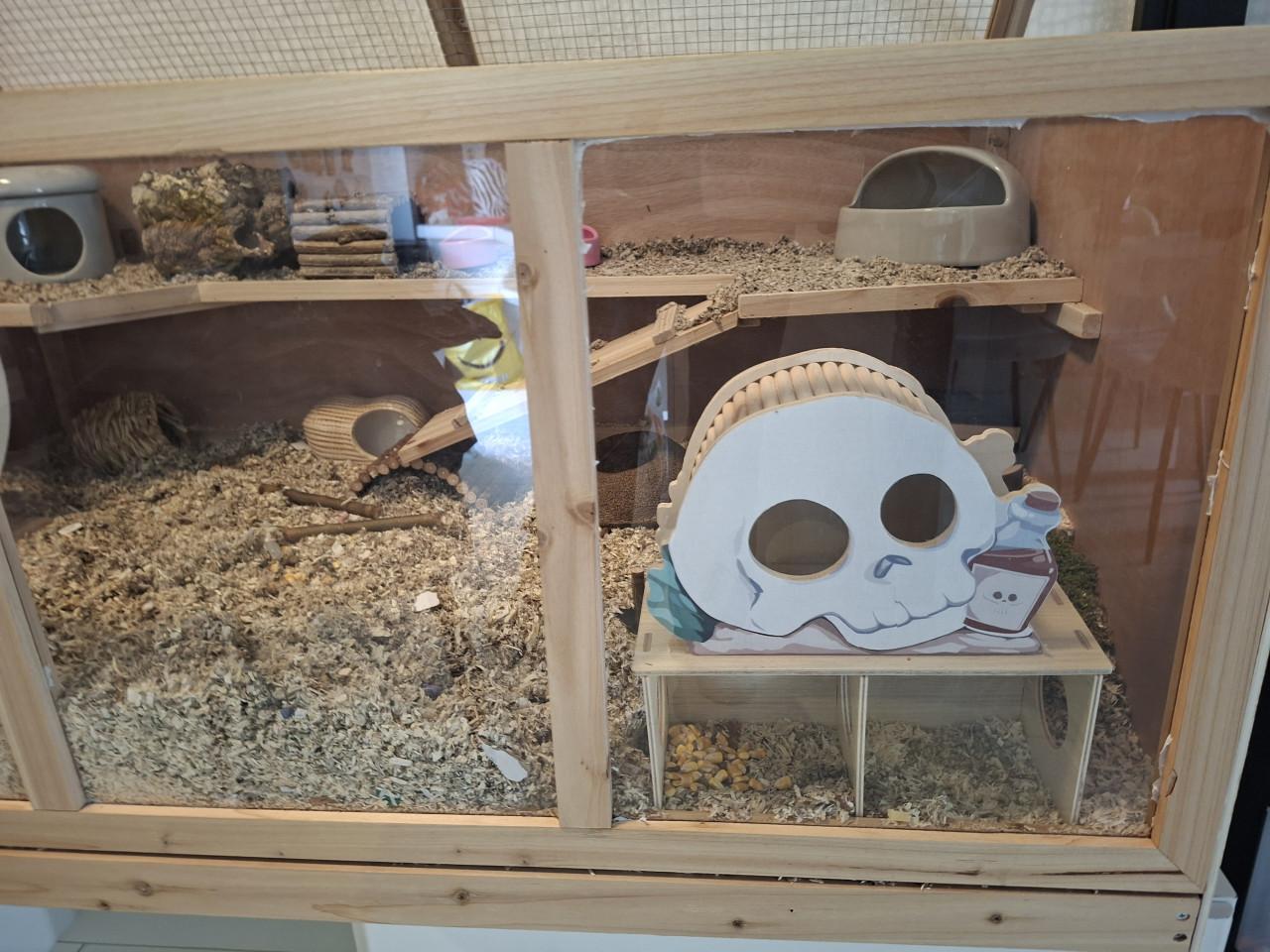 Hamster kooi