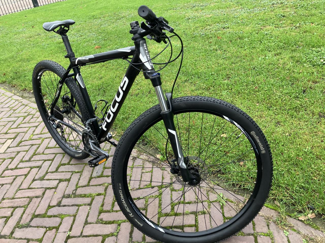 Focus Whistler 29''