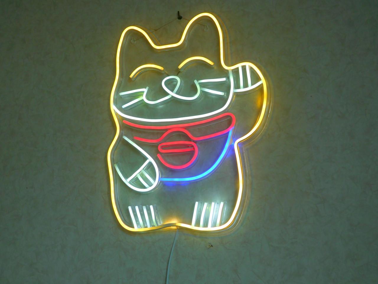LEDLAMP POES