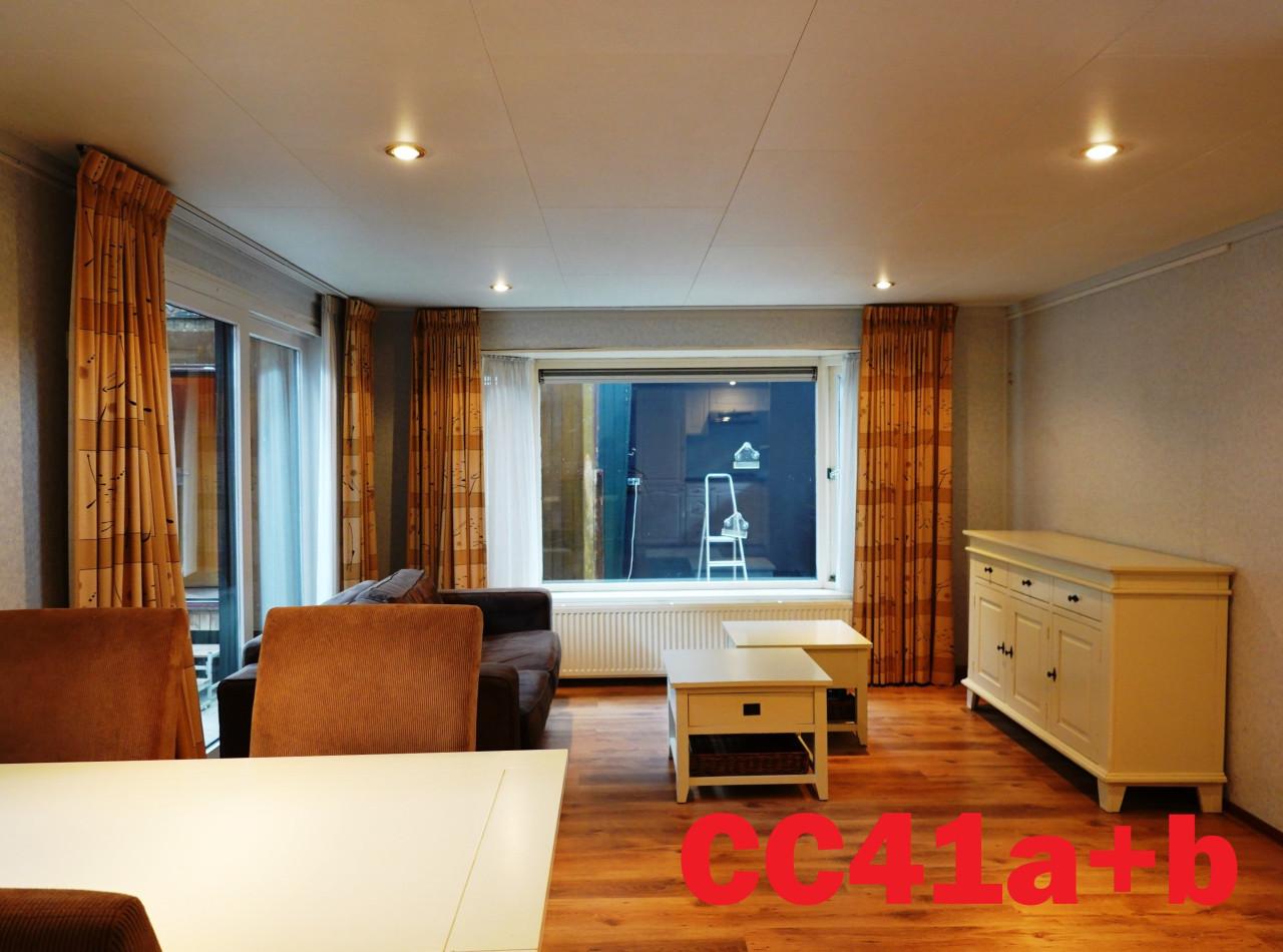 Dubbelchalets en L-chalets te koop