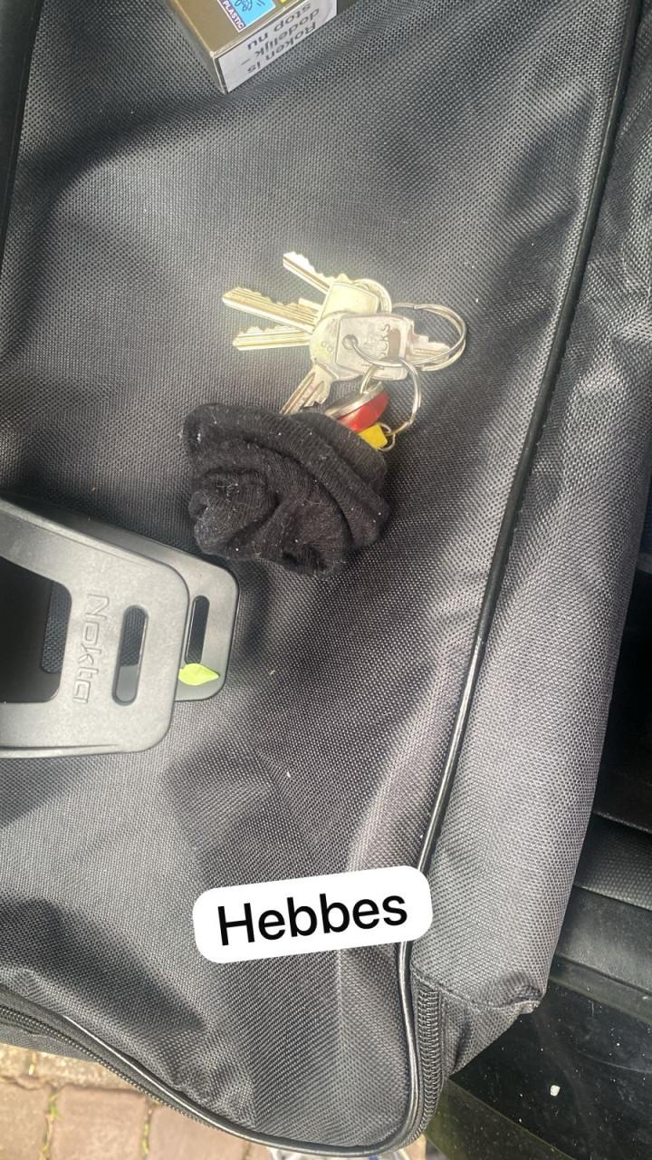 Iets verloren of kwijt? huur bij De Detectorshops krachtige metaaldetectors