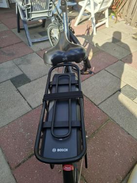 Batavus