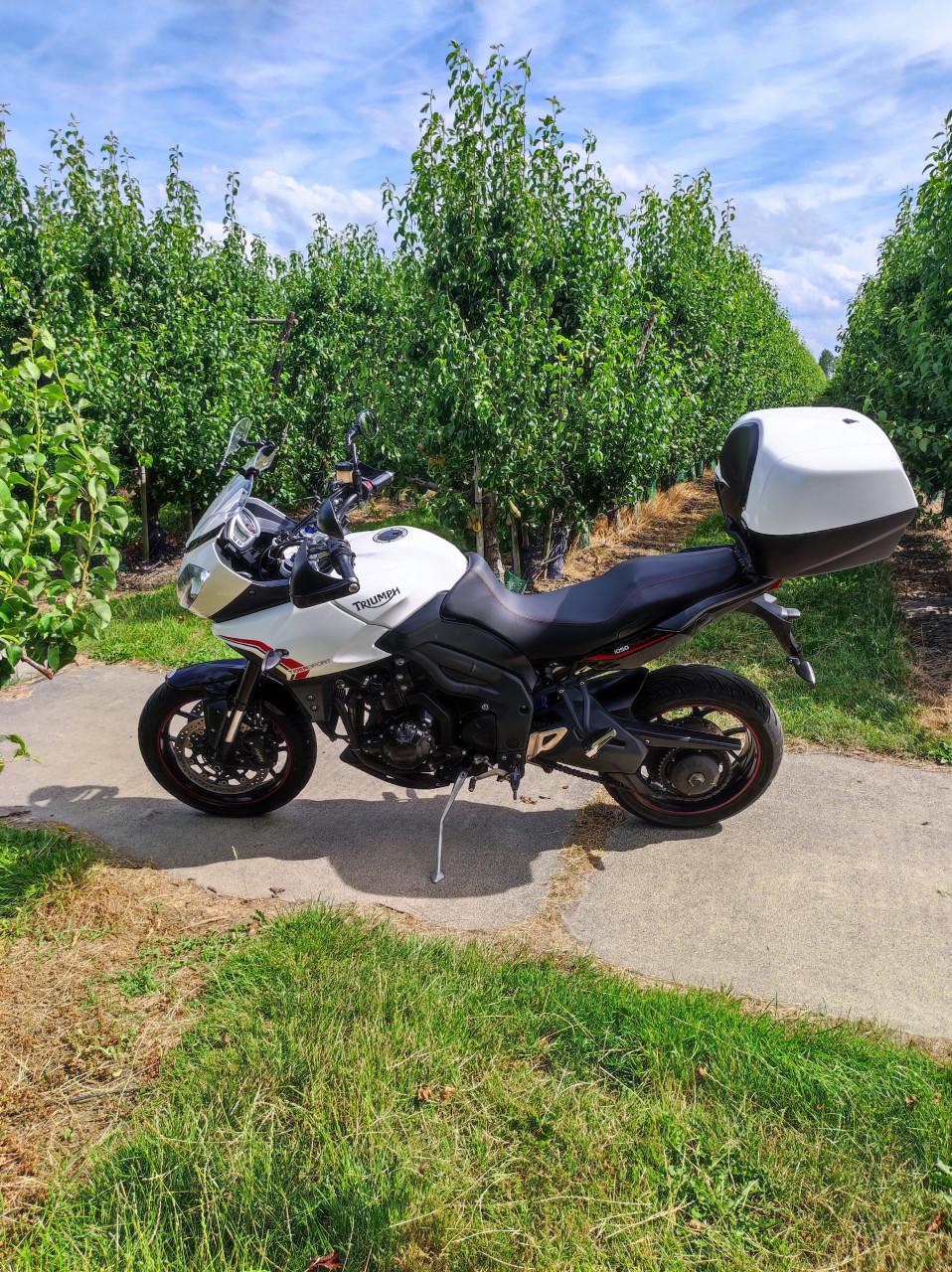 Triumph tiger 1050 sport