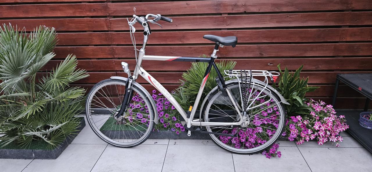 Batavus herenfiets 65 cm