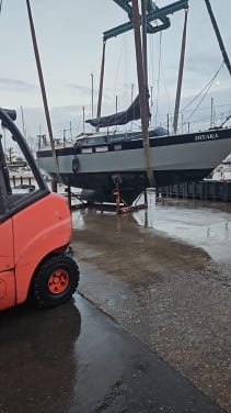 Wibo835