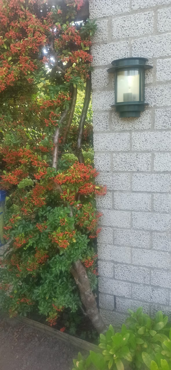 Buitenlamp