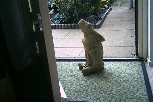 TUINBEELD - moon gazing hare ...