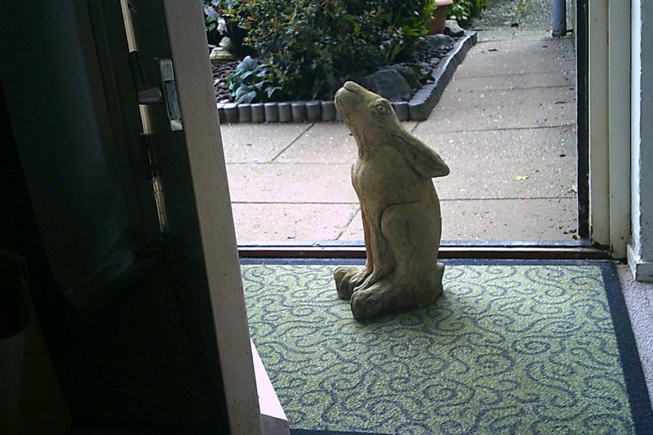 TUINBEELD - moon gazing hare ...