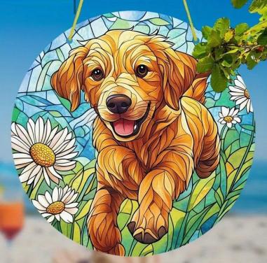 Raamhanger labrador - golden retriever