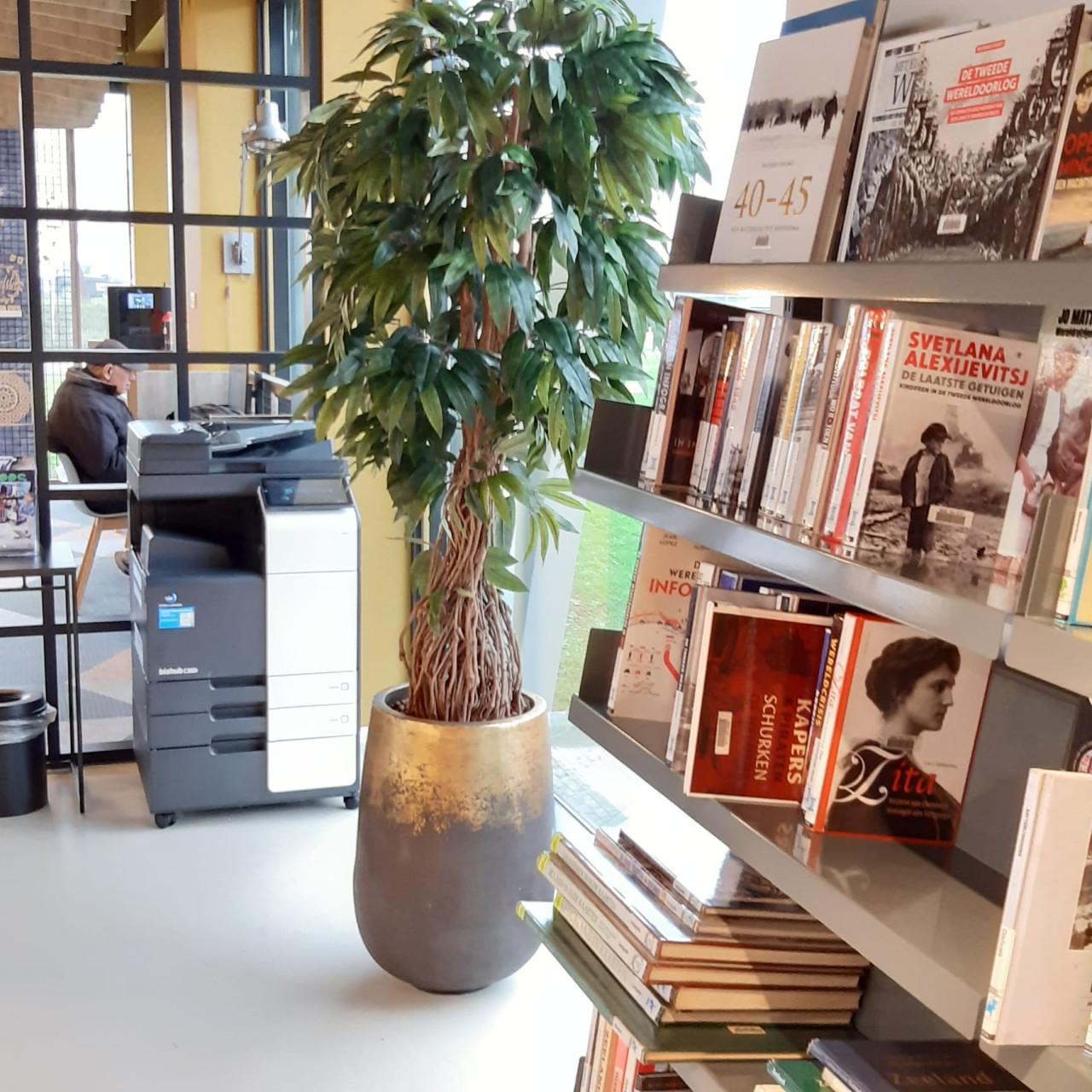 ZIJDE KUNSTPLANTEN BOMEN EN BLOEMEN