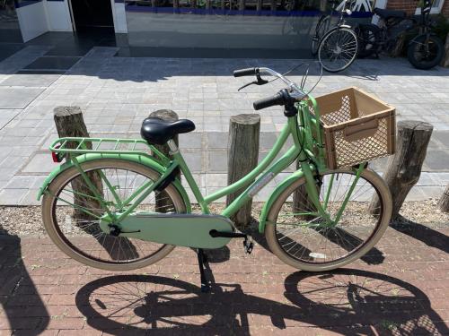 Altec Vintage 50 Transportfiets Damesfiets Nette staat !!