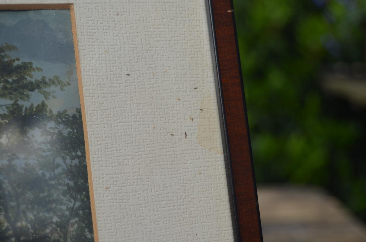 Olie op doek boerderijtje in landschap 19e eeuws.